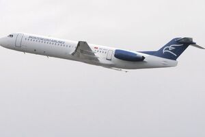 Avion Montenegro Airlinesa prizemljen nakon sudara sa pticom