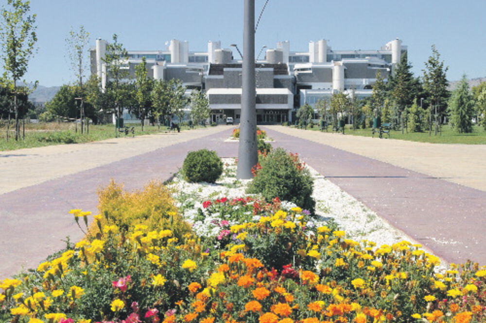 UCG, Univerzitet Crne Gore, Foto: Vijesti