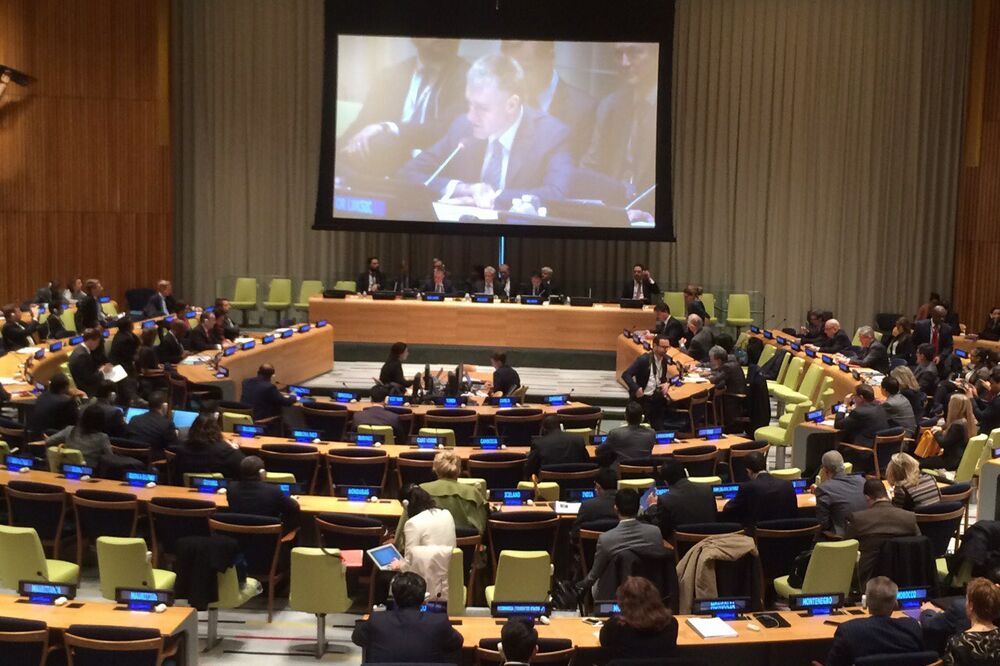 Igor Lukšić, UN, Foto: Vlada Crne Gore