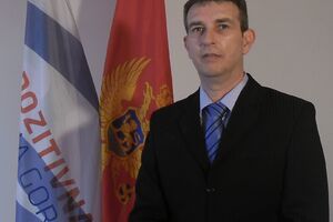 Lamežević: Ako se nastavi sa devastavcijom, Borova šuma u Ulcinju...