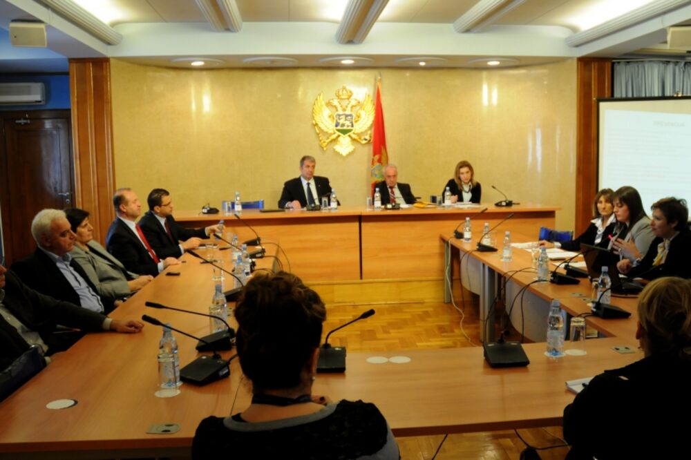 Odbor za zdravstvo, Foto: Boris Pejović