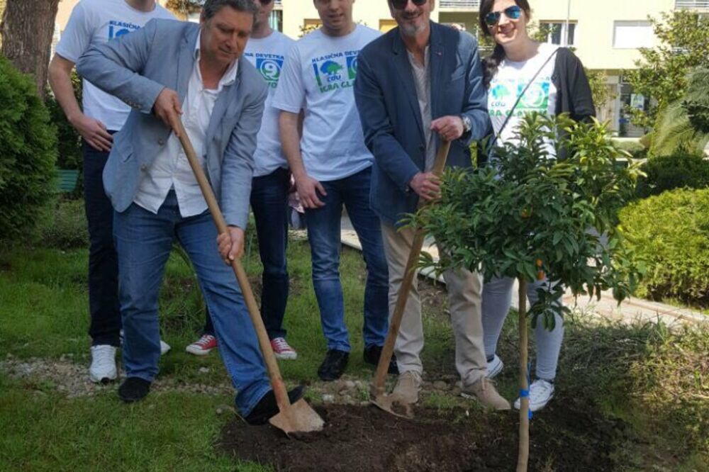 CDU sadi drvo, Foto: CDU