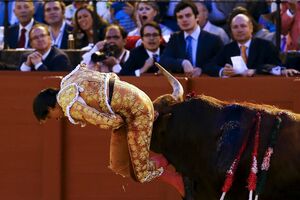 Osveta bika od pola tone: Matador završio na rogu