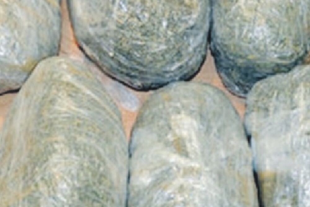 šverc-trava, Foto: En.apa.az