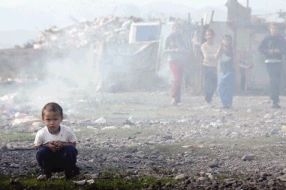 romi11_3, Foto: L.ZEKOVIĆ