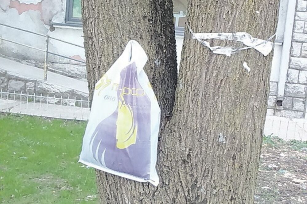 kuke dobrote, Nikšić, oštećene, Foto: Svetlana Mandić