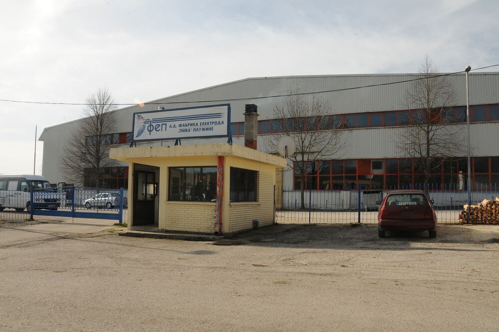 FEP, Foto: Svetlana Mandić