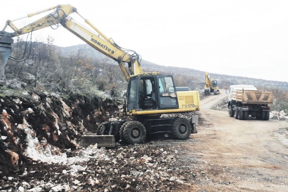 Zatrijebač, Foto: Luka Zeković