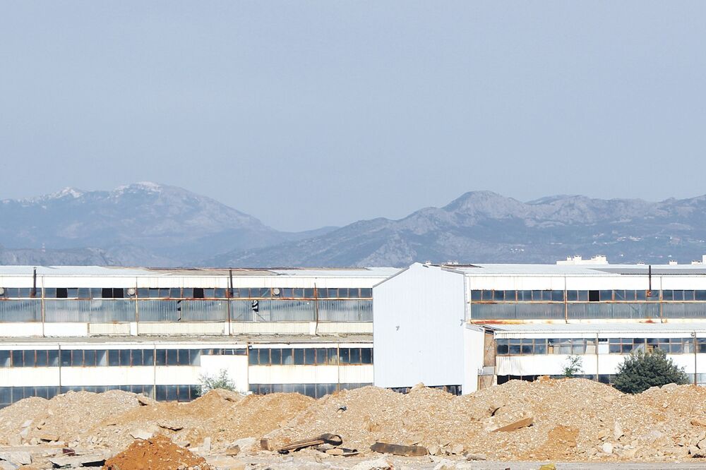 Hala, Radoje Dakić, Foto: Filip Roganović, Filip Roganović