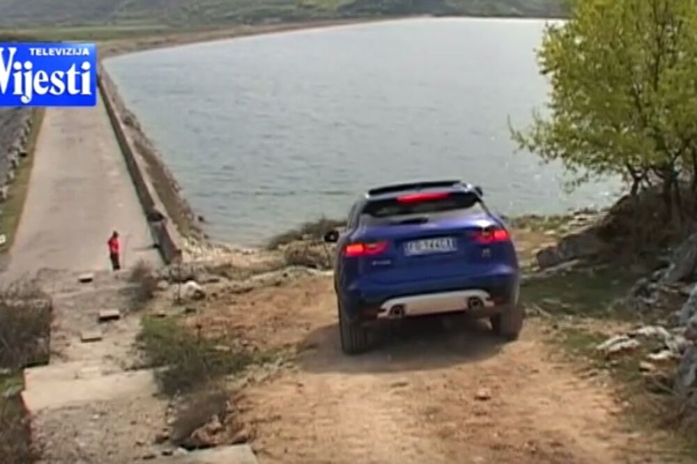 Jaguar, Slano jezero, Foto: Screenshot (YouTube)