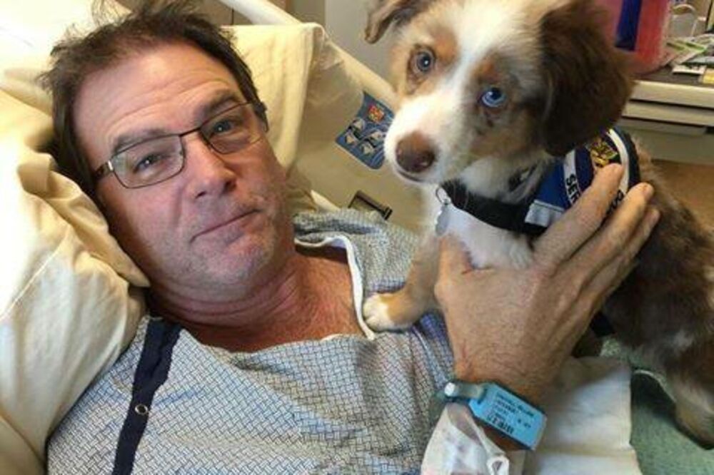 Zaharijev lavež za ozdravljenje, Foto: Facebook