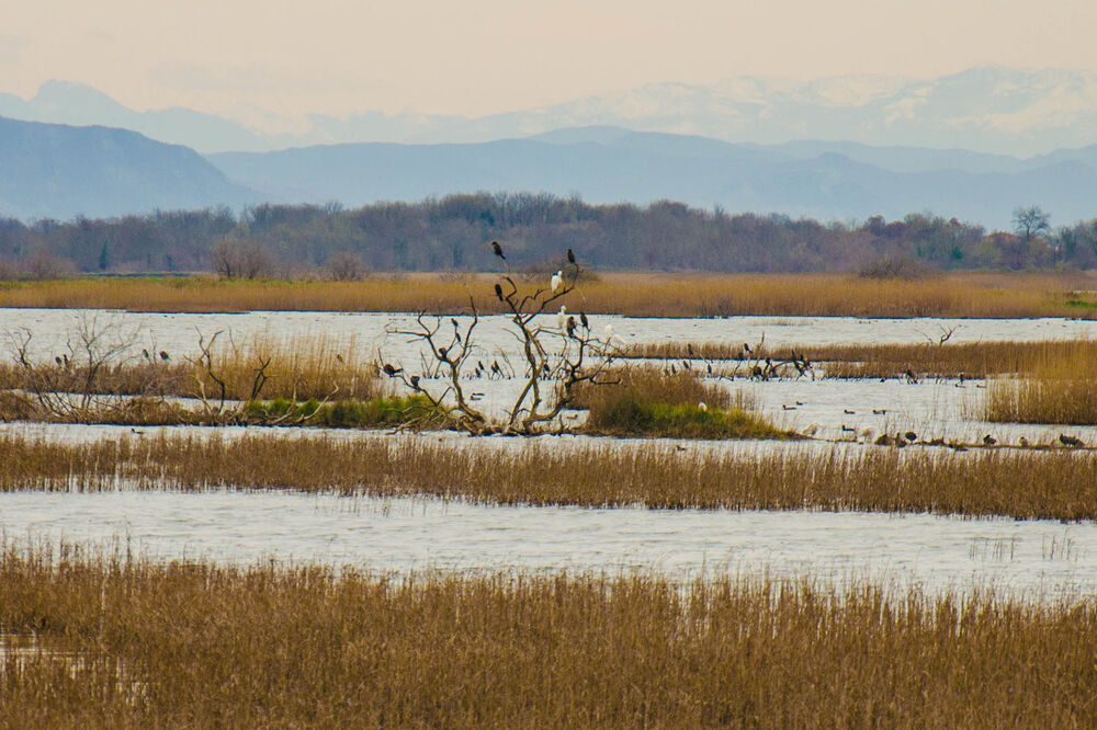 Solana Ulcinj, Foto: Damira Kalač
