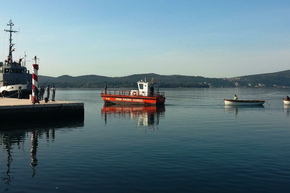 Tivat, Pine, Foto: Siniša Luković