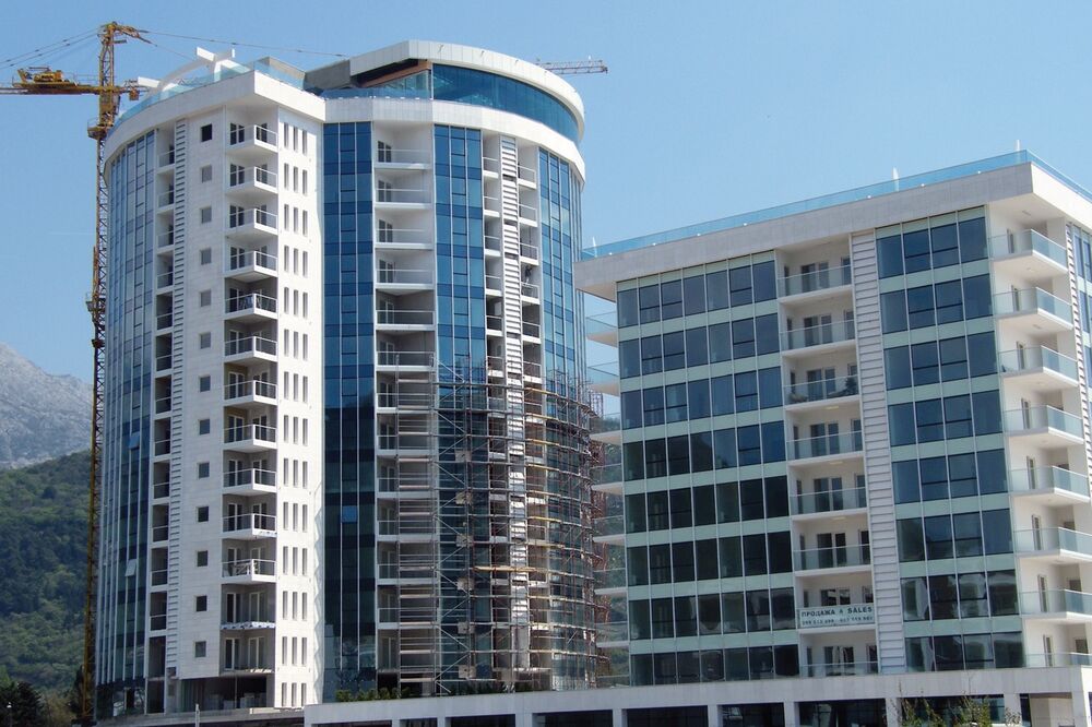 Tre cane, Foto: Vuk Lajović