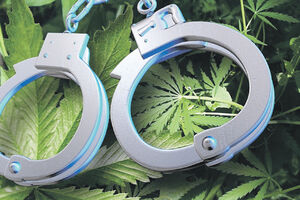 Travu kose češće, heroin rijetko