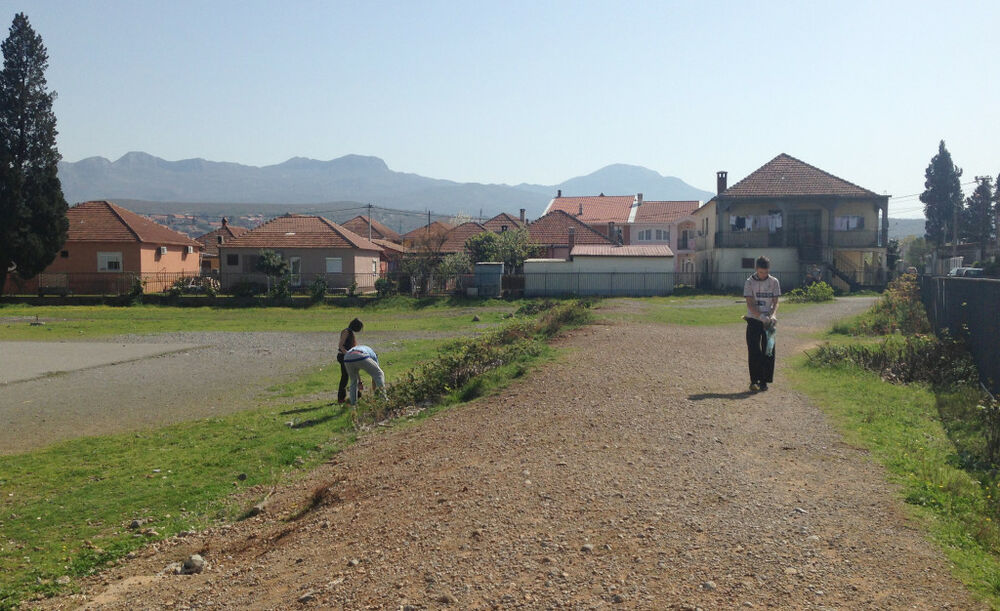 Konik, akcija čišćenja