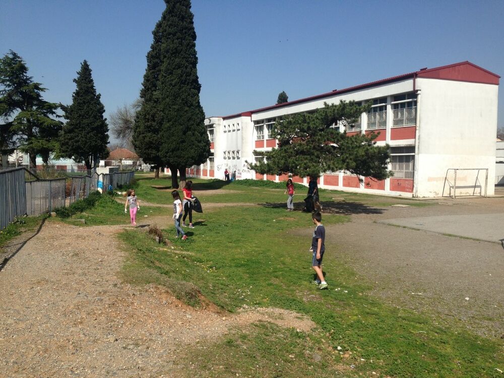 Konik, akcija čišćenja