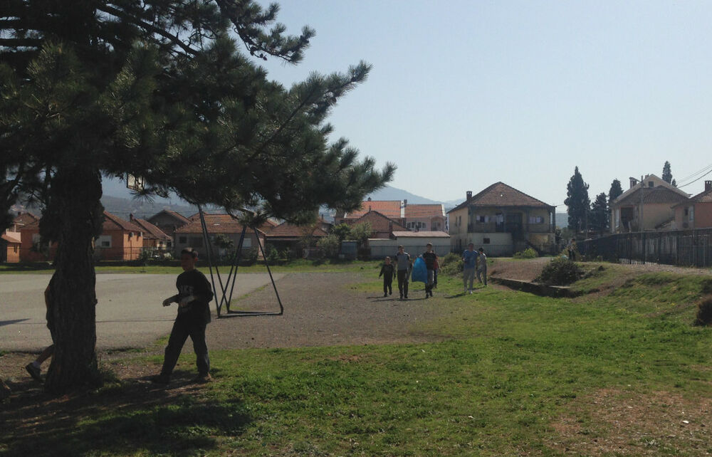 Konik, akcija čišćenja