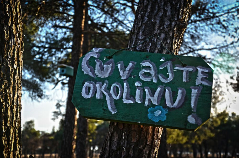 Konik, akcija čišćenja