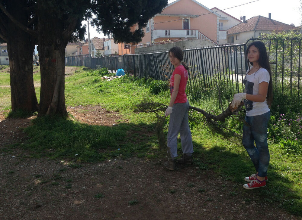 Konik, akcija čišćenja