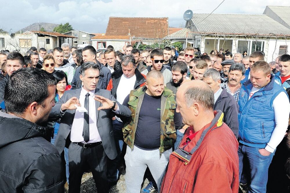 porodica Vlahović, Foto: Zoran Đurić