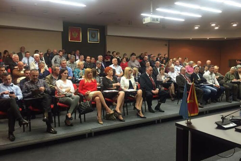 SNP, Tivat, Foto: SNP