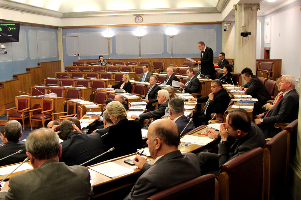 Skupština CG, Foto: Filip Roganović