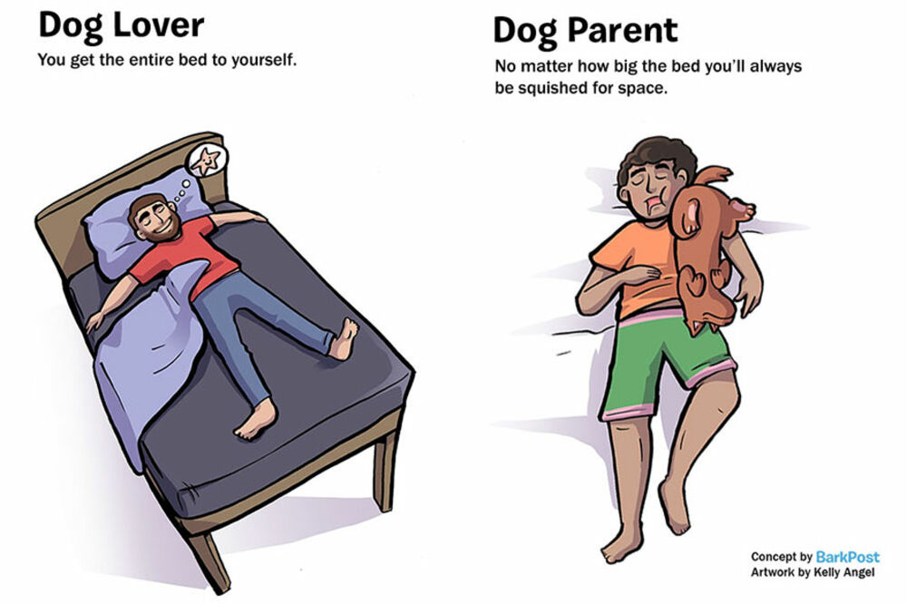 Keli Endžel, Foto: Anythingcomic.com