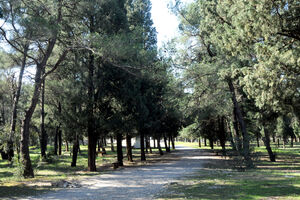 Sunčano, temperatura do 22 stepena