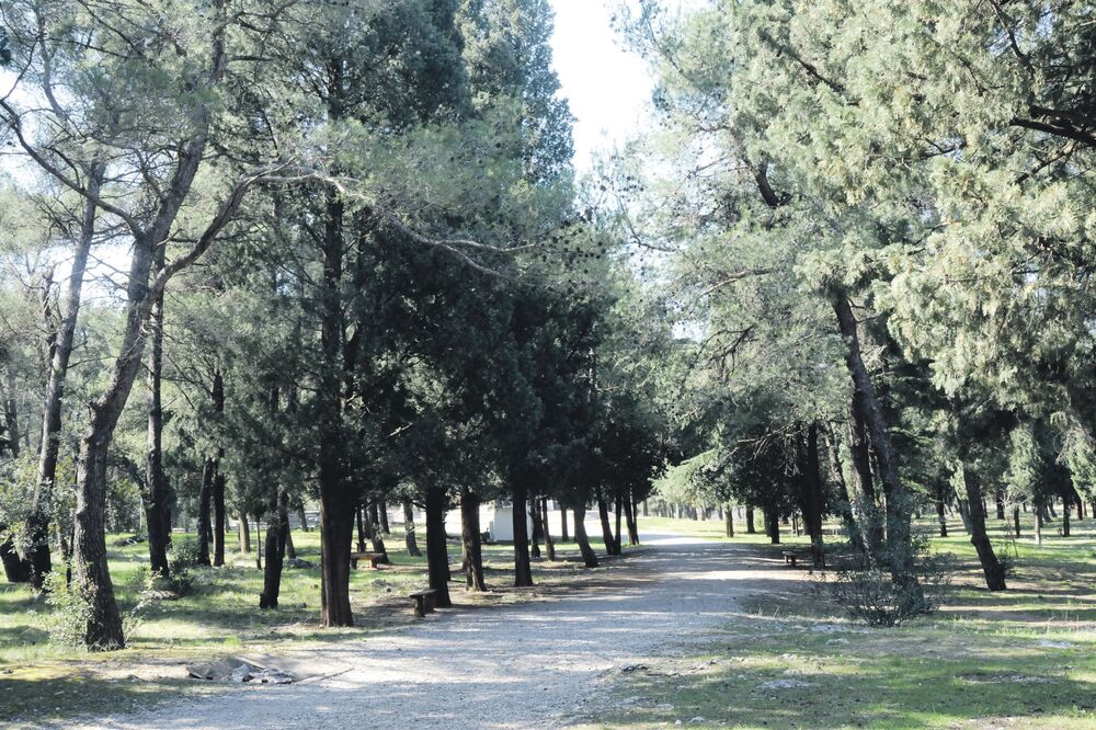 brdo Gorica, Foto: Zoran Đurić