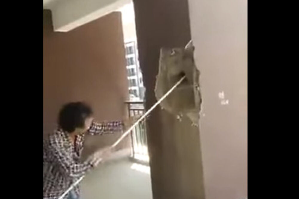 KIna zgrada, Foto: Screenshot (YouTube)