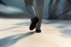 Podanik ili građanin