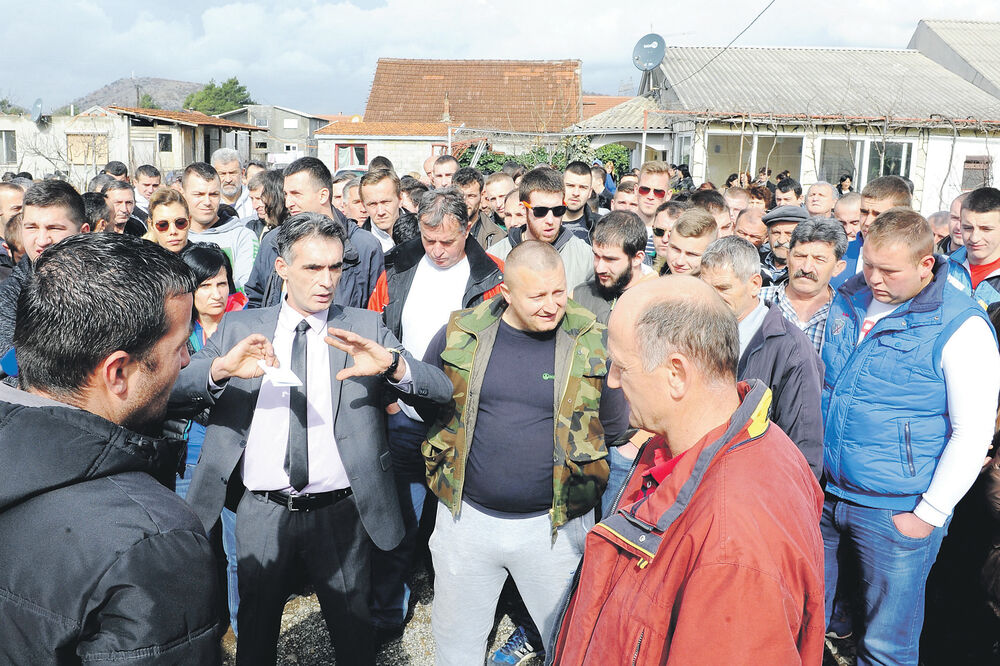 Porodica Vlahović, Foto: Zoran Đurić