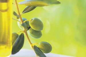 Najbolje je ulje iz Ulcinja