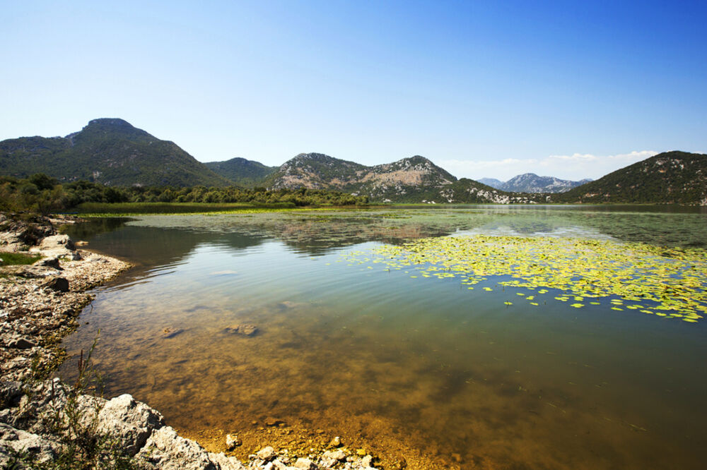 Skadarsko jezero, Foto: Shutterstock