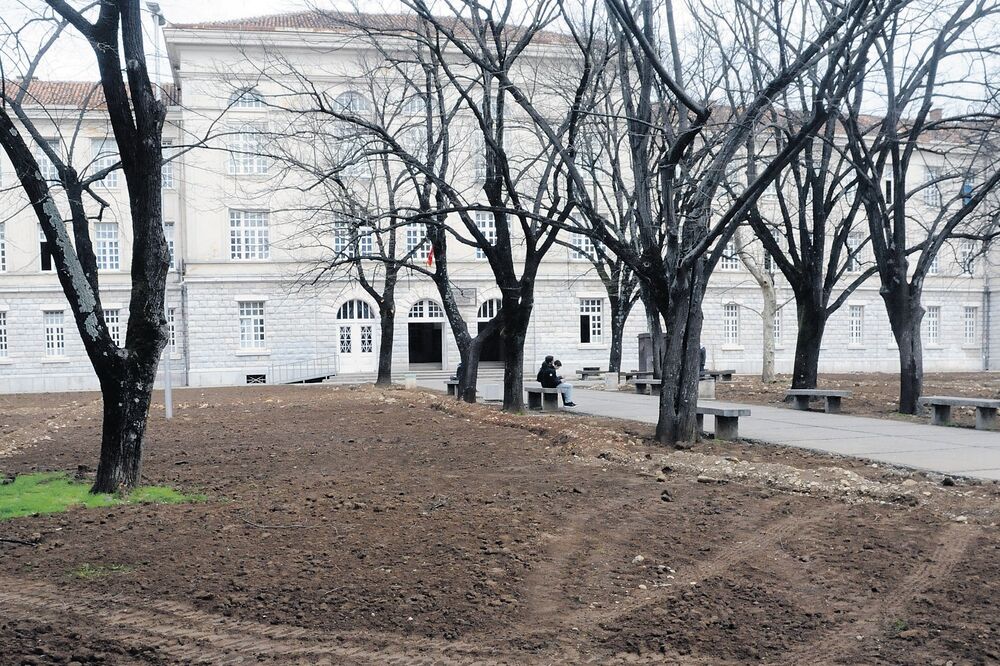 Gimnazija "Slobodan Škerović", Foto: Luka Zeković