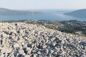 Djetlić svjedok očuvane šume na Orjenu