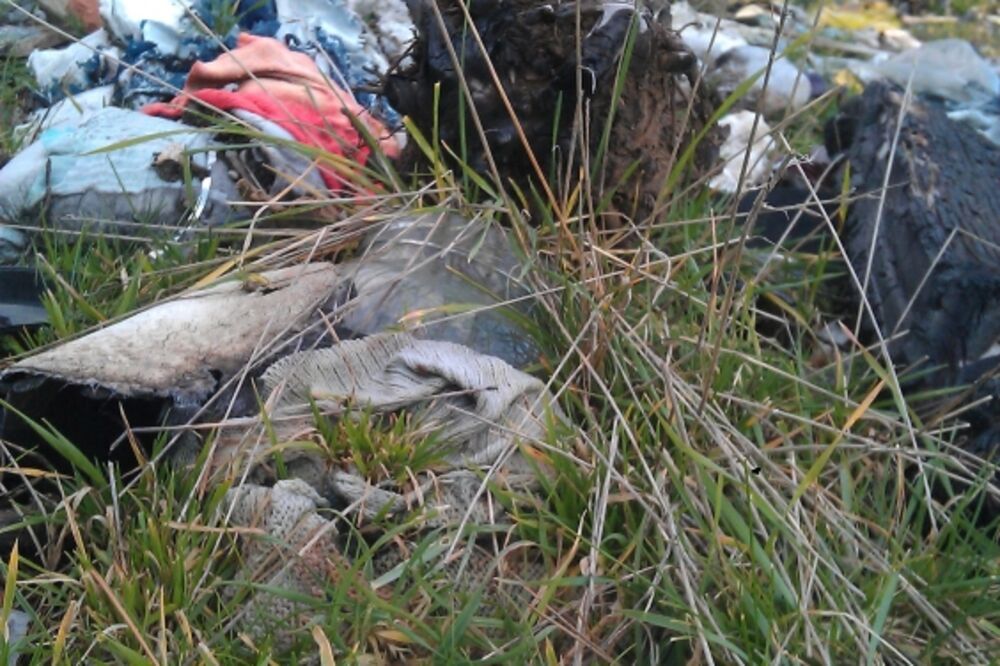 Ćemovsko polje, smeće, Podgorica, Foto: Damira Kalač