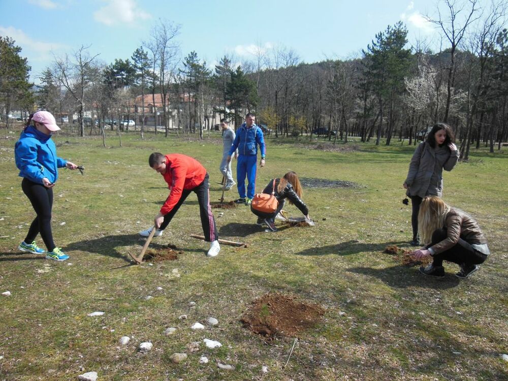 pošumljavanje Mladi DPS