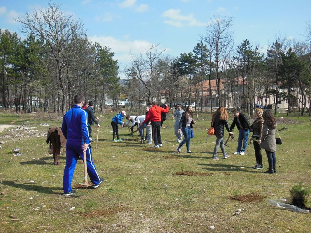 pošumljavanje Mladi DPS