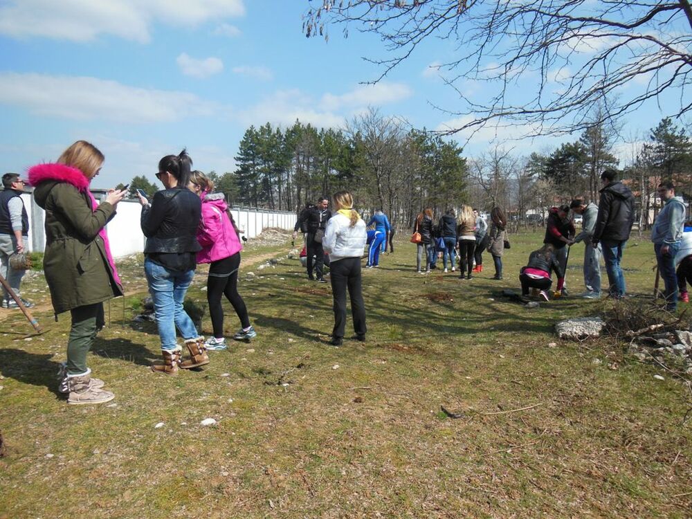 pošumljavanje Mladi DPS