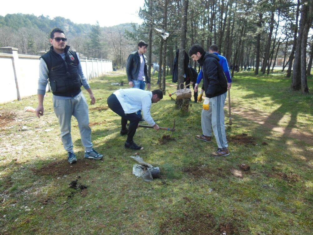 pošumljavanje Mladi DPS