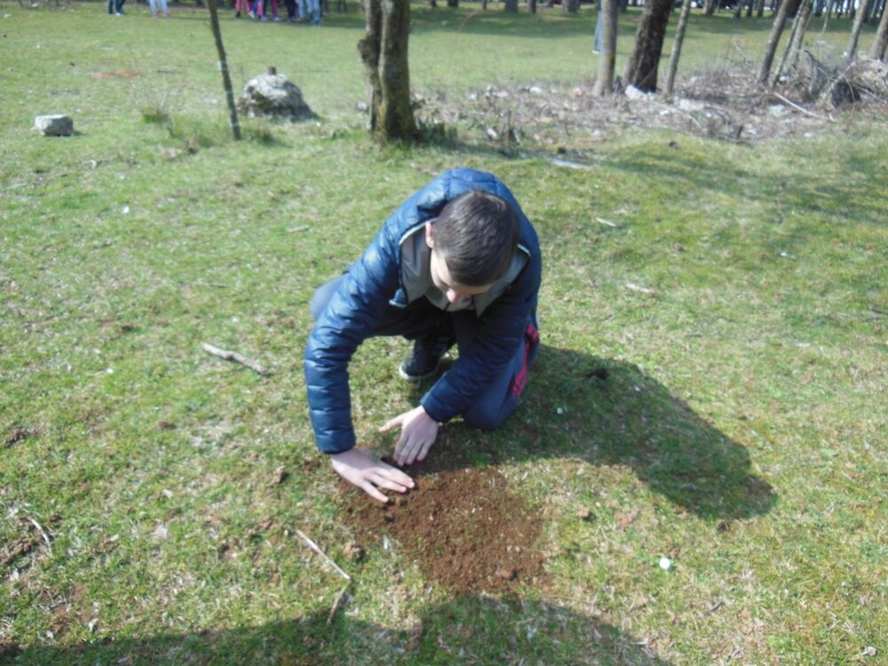 pošumljavanje Mladi DPS