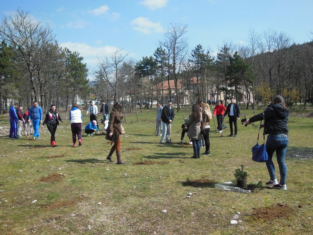 pošumljavanje Mladi DPS