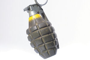 Nikšićanin uhapšen zbog sumnje da je bacio bombu na prodavnicu...