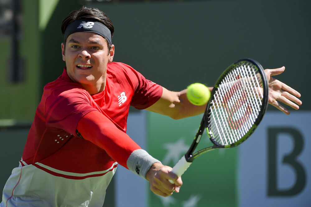 Raonić, Foto: Beta-AP