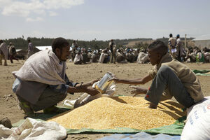 U ovoj zemlji više od 10 miliona ljudi gladuje