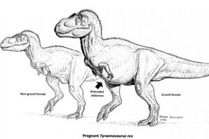 Naučnici vjeruju da su pronašli trudnu ženku T-Rexa
