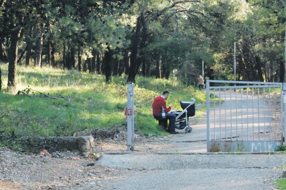 brdo Gorica, Foto: Zoran Đurić