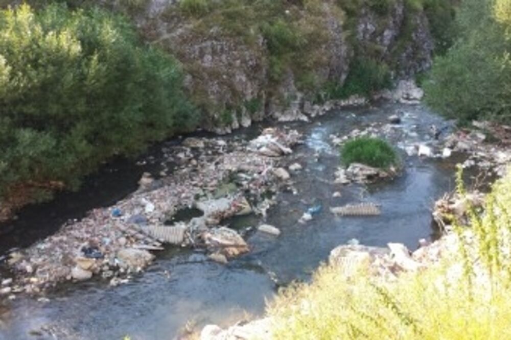 ibar_2, Foto: Privatna arhiva